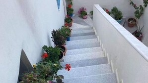 Un escalier orné de plantes en pot de chaque côté.