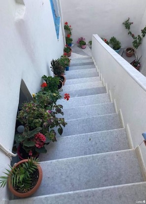 Un escalier orné de plantes en pot de chaque côté.