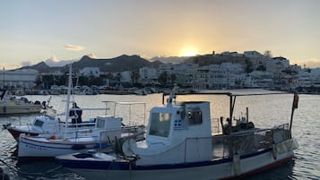 Studio, 1 slaapkamer, roken, balkon | (Motor)bootvaren