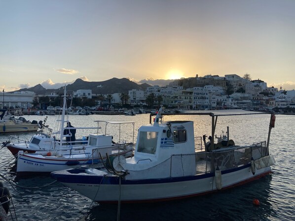 Studio, 1 Bedroom, Smoking, Balcony | Boating