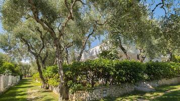 Rumah, 1 kamar tidur, balkon, pemandangan kebun | Pintu masuk properti