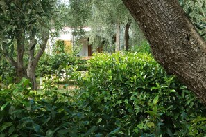 Un jardin avec des oliviers, une haie et un bâtiment doté de portes en arc de cercle.