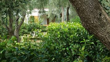 Rumah, 2 kamar tidur, pemandangan kebun | Bagian depan properti