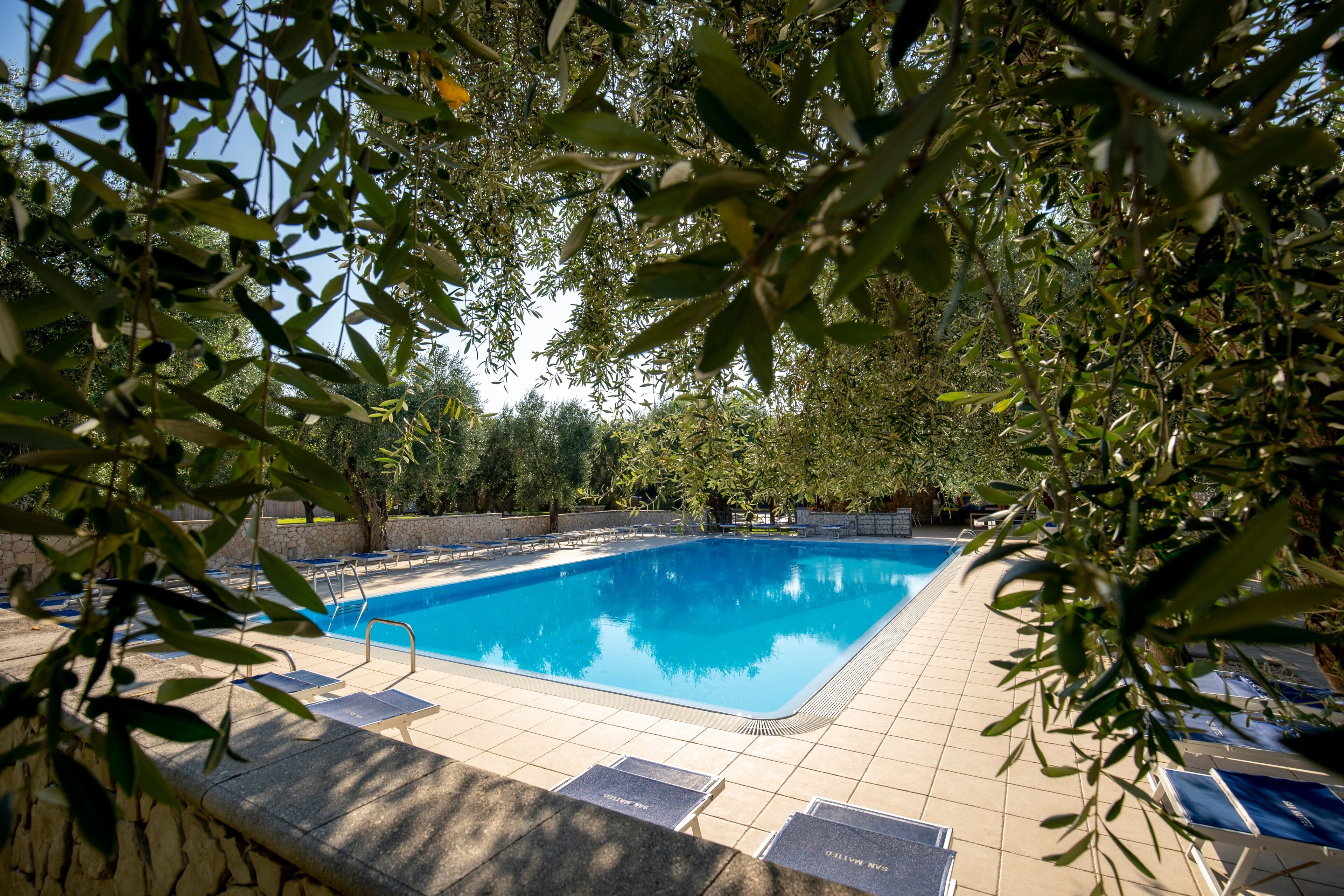A swimming pool surrounded by trees, with tiled flooring and lounge chairs.