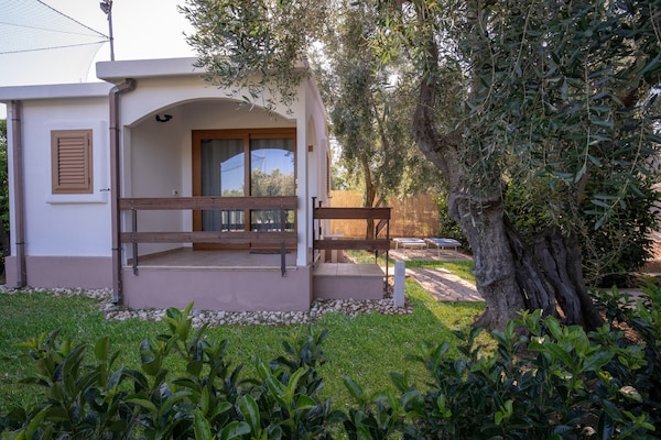 Holiday Apartment Orchidea With Swimming Pool And Private Beach -3 - Mattinata