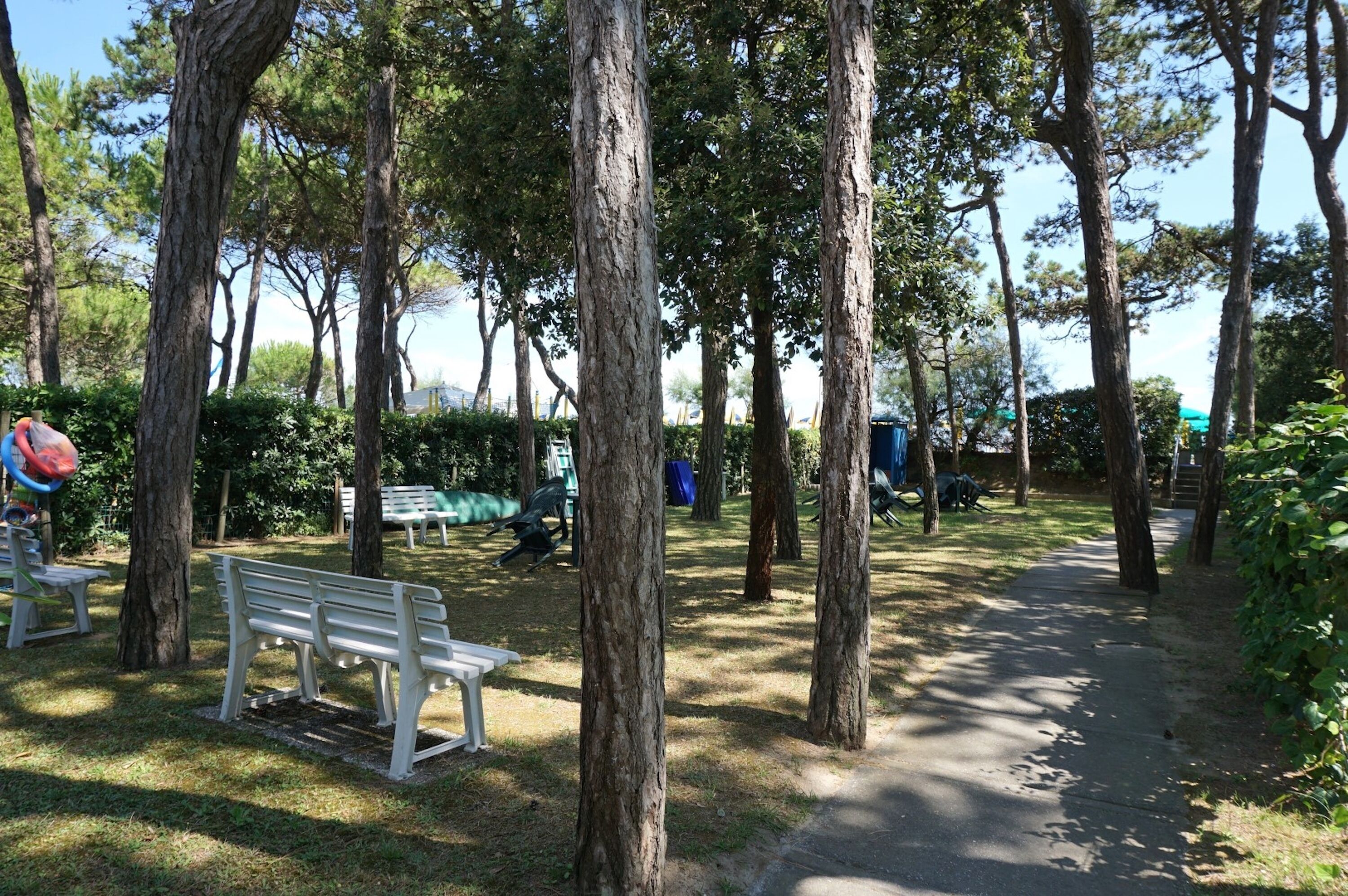 A park with benches, trees, and a paved path.