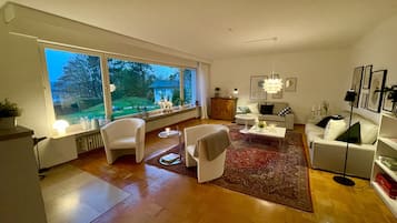 TV, fireplace, books
