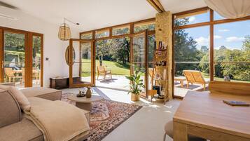 Télévision, cheminée, lecteur de DVD, table de tennis de table