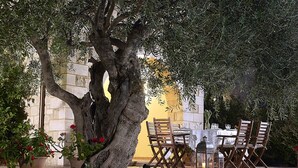 Ein Essbereich im Freien mit Tisch und Stühlen, umgeben von Blumentöpfen und einem großen Baum.