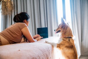 Pet-friendly