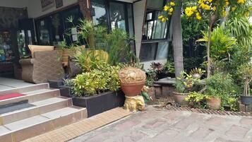 A well-maintained outdoor area with steps leading to a door, surrounded by various potted plants and a decorative golden statue.