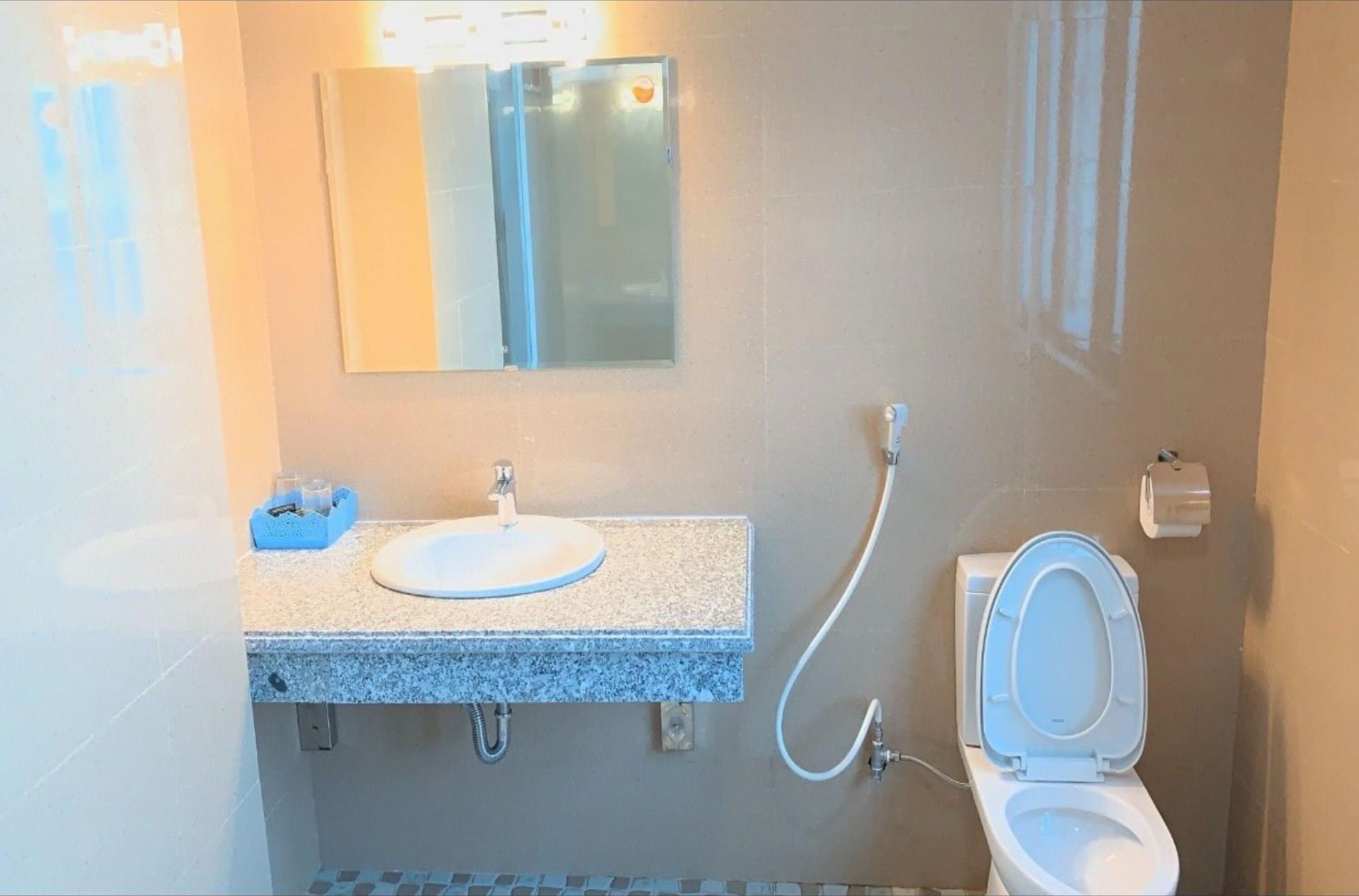 Een badkamer met een wastafel met granieten blad, een spiegel, een toilet en een douchekop.