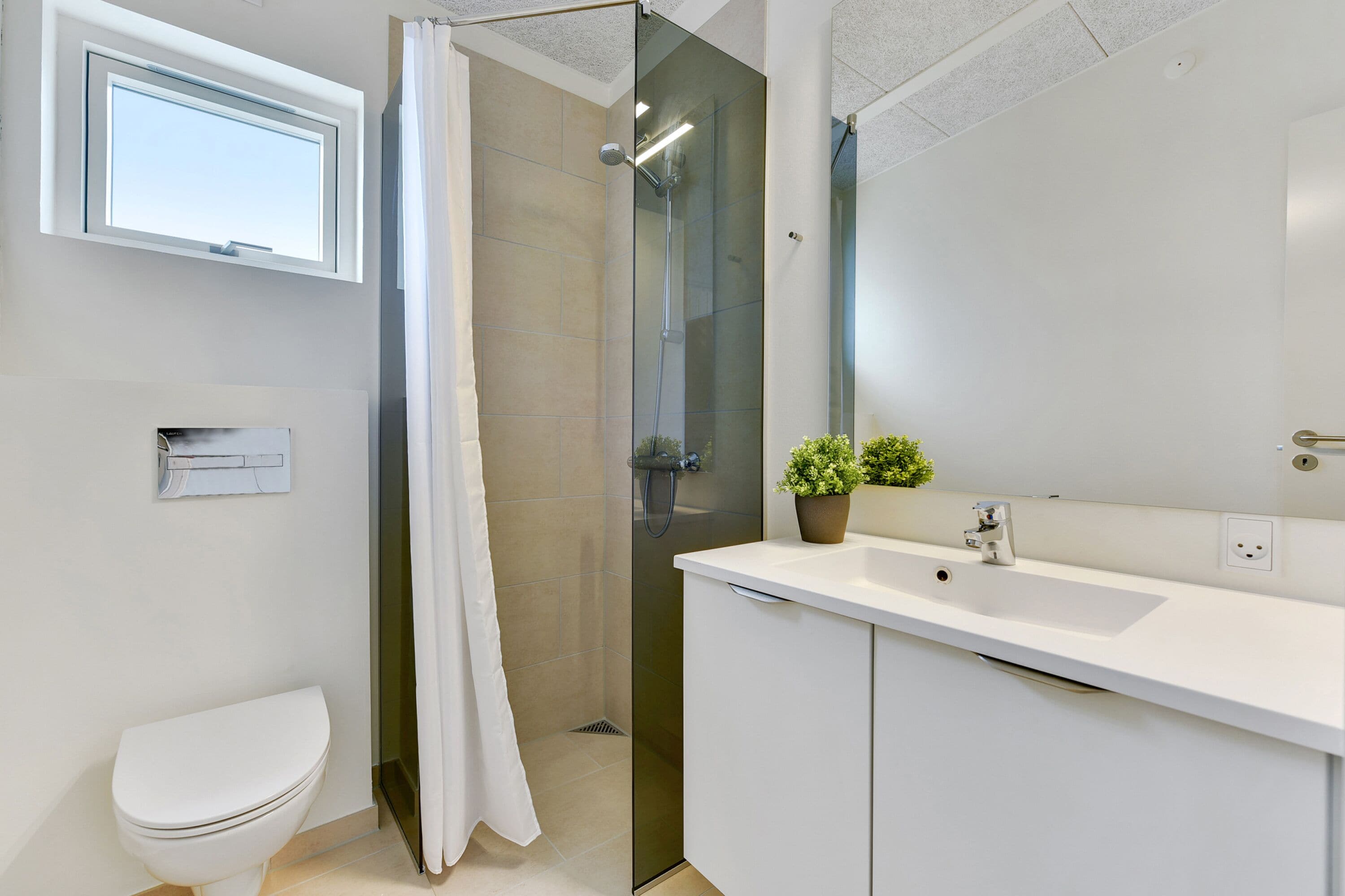 A modern bathroom with a toilet, a glass shower enclosure, a sink with a mirror, and a potted plant.