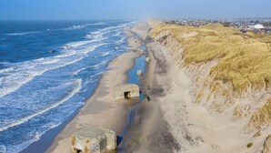 Un paysage côtier avec une plage de sable, des vagues et des dunes.
