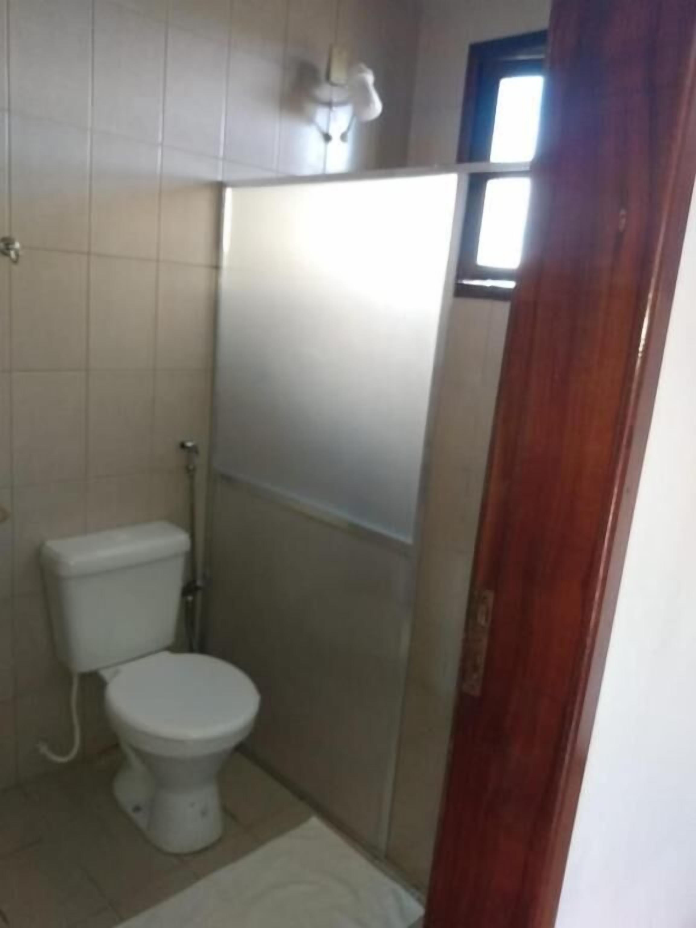 Casa de banho pequena e simples, com sanita, zona de duche e porta de madeira.