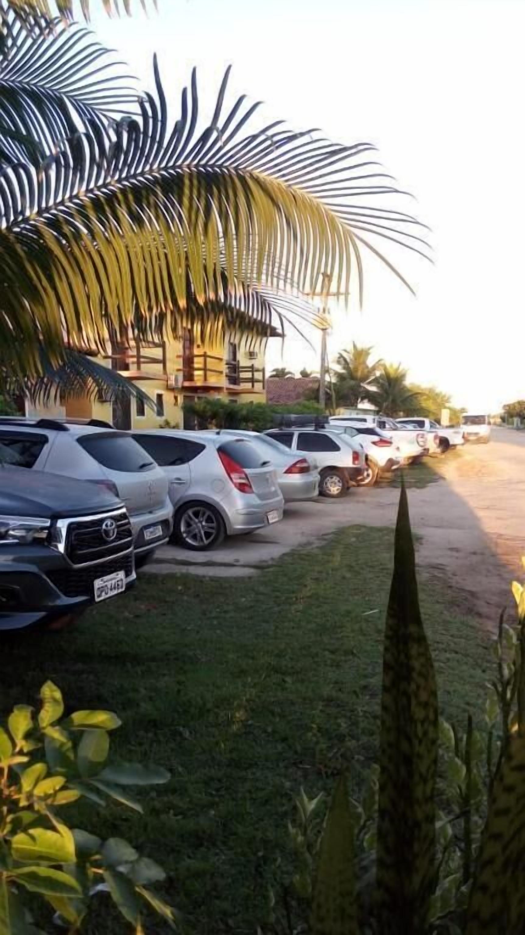 A parking area with several cars, a building with a yellow facade, and a palm tree.