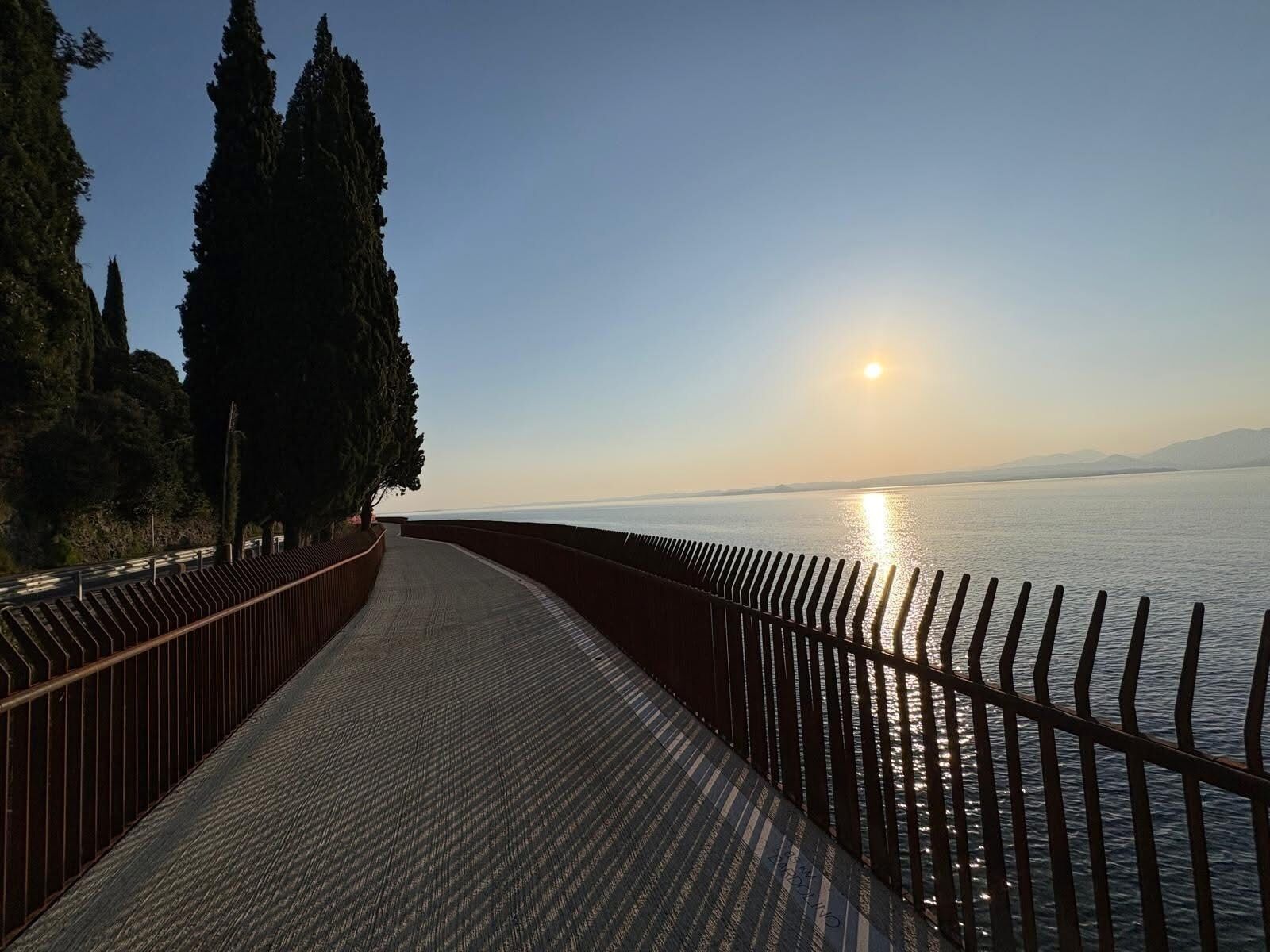 A pathway leading to a body of water with a railing on one side and trees on the other.