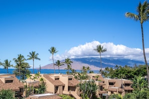 Surrounded by lush greenery and a mountain range, this resort offers scenic views.