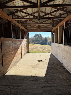 Stable with a simple design, featuring a wooden floor and metal bars on the doors, offering a view of a grassy field and trees.