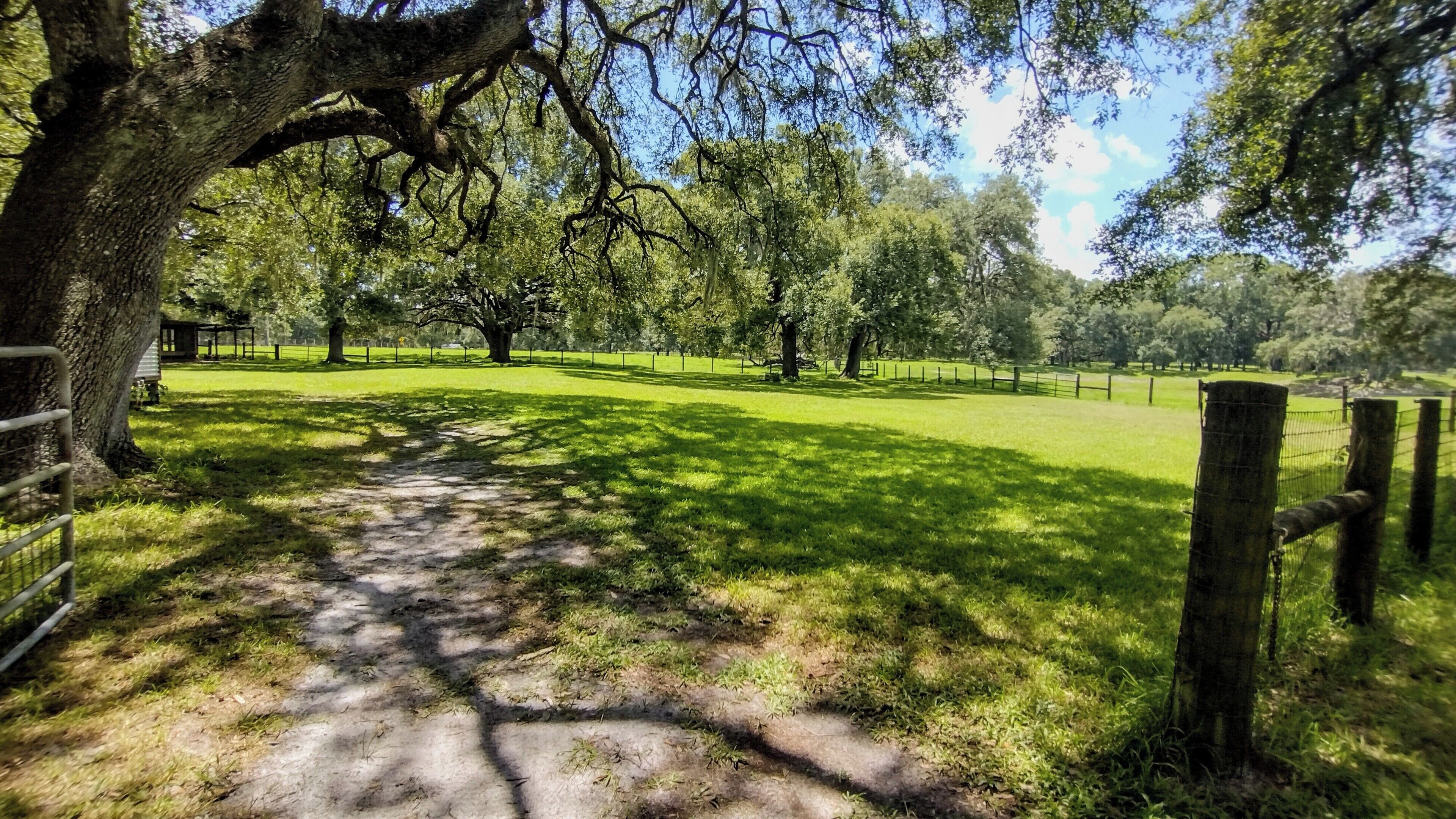 Oak Flats Farm - Pet Friendly - Star Link - Outdoor Shower