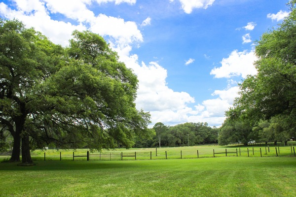 Pastures and fields surround the property on all sides.