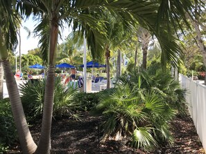 Property grounds - Keys Deal w/Cafe & Pool Bar! Up to 20% Off Beachfront 1BD Sleeps 4. (Tavernier)