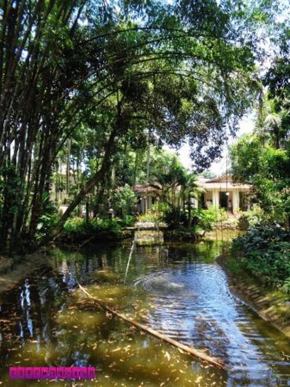 Property grounds - Santos Linda !! 5 min from the beach ! (SP)