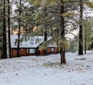 Exterior - 5BR Flagstaff Cabin: 1 Acre, Deck, Games, Trails (Flagstaff)