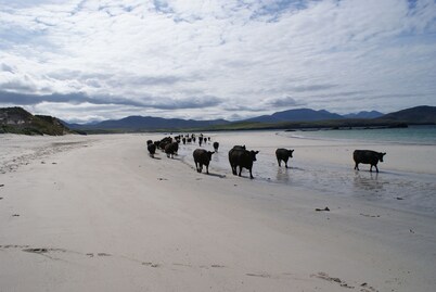 THE CATTLEMAN'S BOTHY - Highland House with Stunning Balnakeil Beach Views.