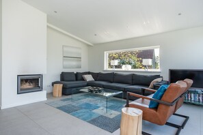 Fernseher, Kamin