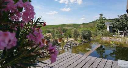 Exclusive vacation home in the middle of the vineyards with fantastic views