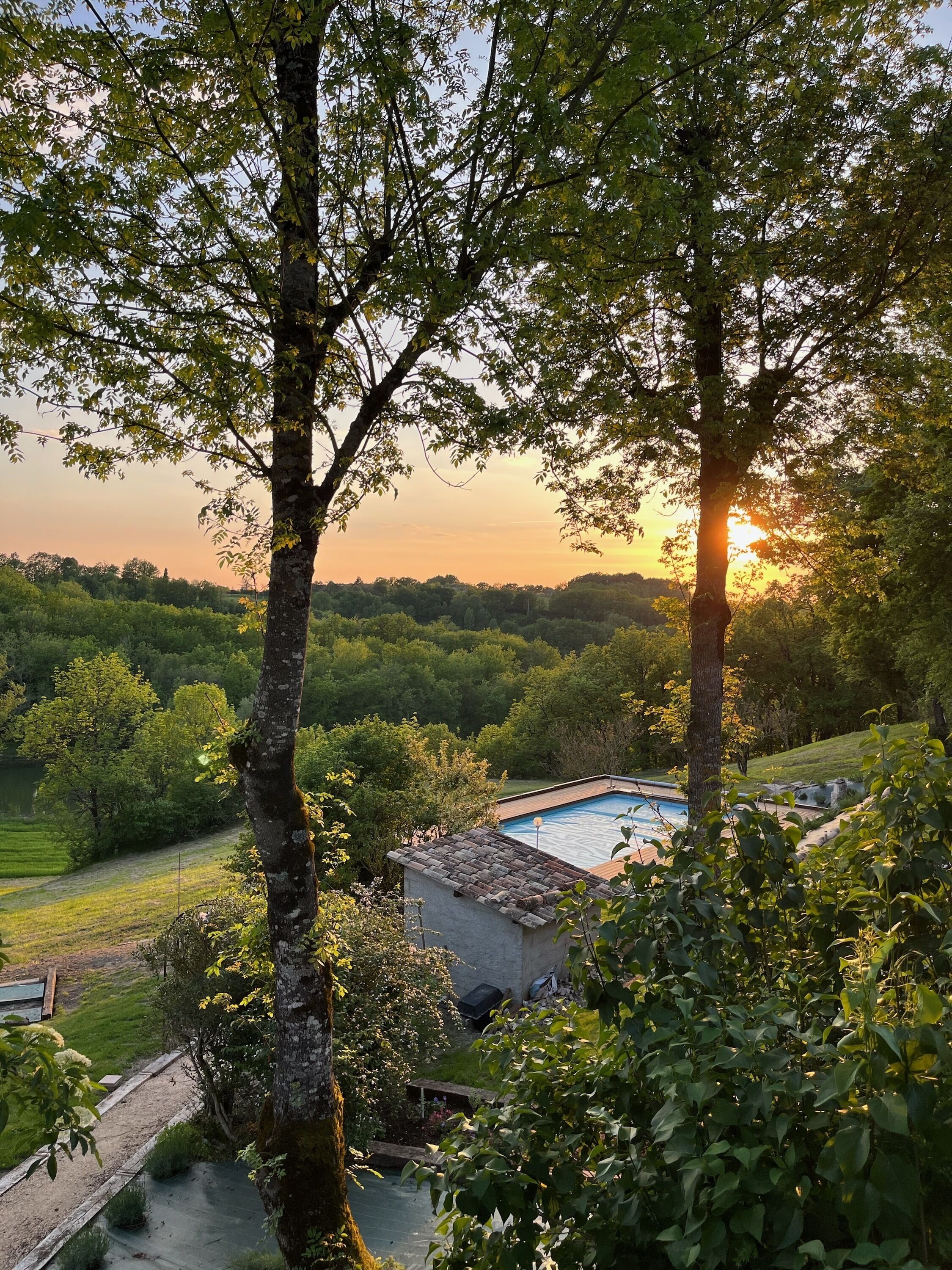 Une piscine entourée d’une végétation luxuriante et d’arbres, avec en toile de fond une vue sur le coucher de soleil.