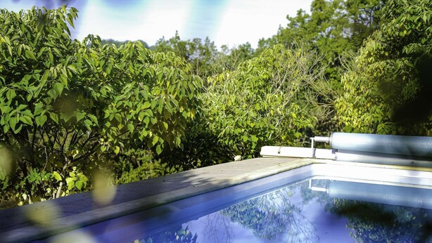 En swimmingpool med kig til grøn vegetation og en hvid bygning i baggrunden.