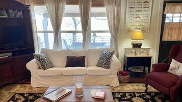 Älytelevisio, takka, DVD-soitin, kirjoja