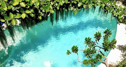 Unique Art Nature Hideaway Walkable to Wilton Drive