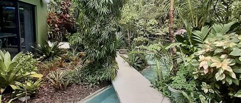 Un exuberante jardín con diversas plantas y un pequeño elemento acuático.