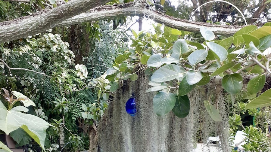 Unique Art Nature Hideaway Walkable to Wilton Drive