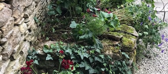 Lucy's Tearoom B&B