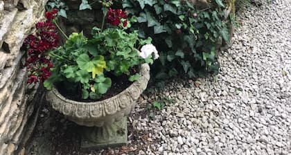 Lucy's Tearoom B&B