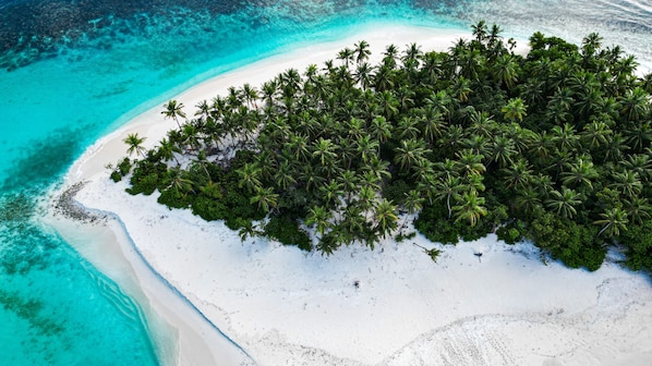 Beach nearby, white sand, free beach shuttle, snorkelling