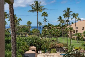 Property grounds - Stunning Oceanview 1 level 2B w Split AC at Kamaole Sands! (Kihei)