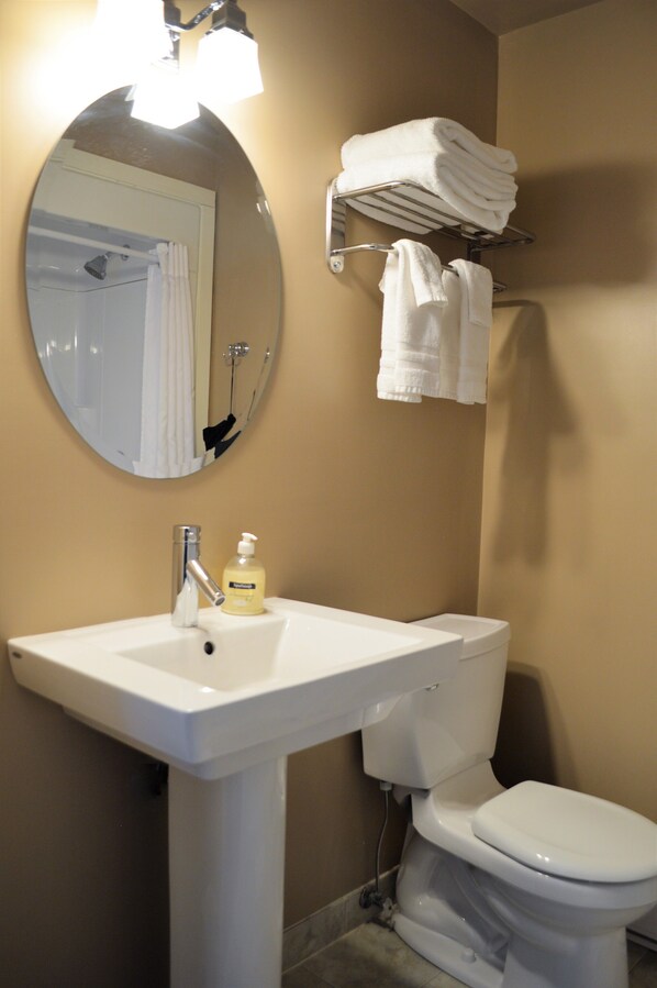 Une salle de bain avec un lavabo blanc, un miroir et des toilettes. On y trouve des serviettes sur un porte-serviettes et un distributeur de savon sur le lavabo.