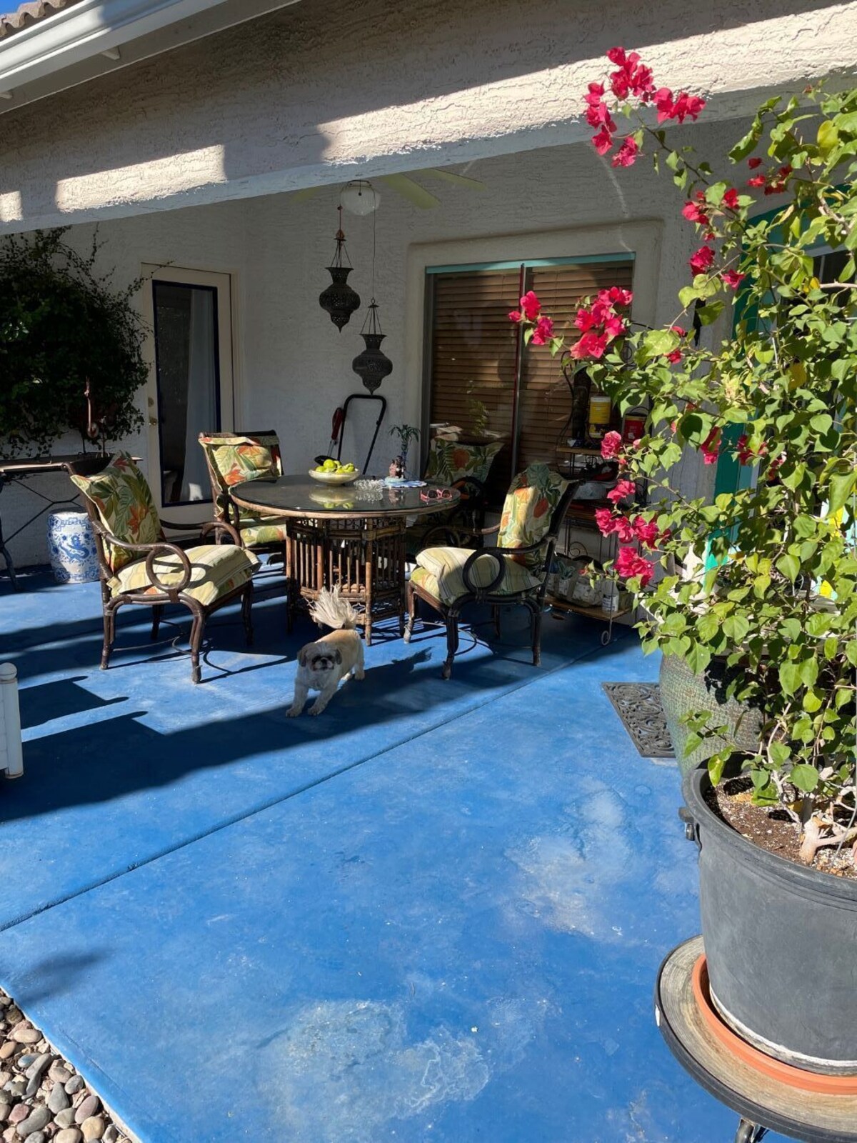 オーナーのプロフィール画像