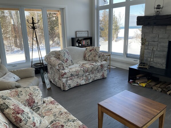 TV, fireplace, books