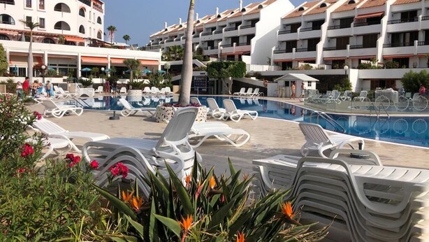 A hotel pool area with sun loungers, a palm tree, and a building with multiple balconies.