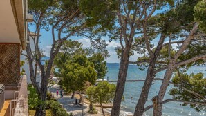 A coastal walkway with trees, a view of the sea, and a bridge in the background. - Samoter, Finca 5EstrellasHome Mallorca (Cala San Vicente)