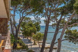 Property grounds - Pedreta, Finca 5StarsHome Mallorca (Alcúdia)