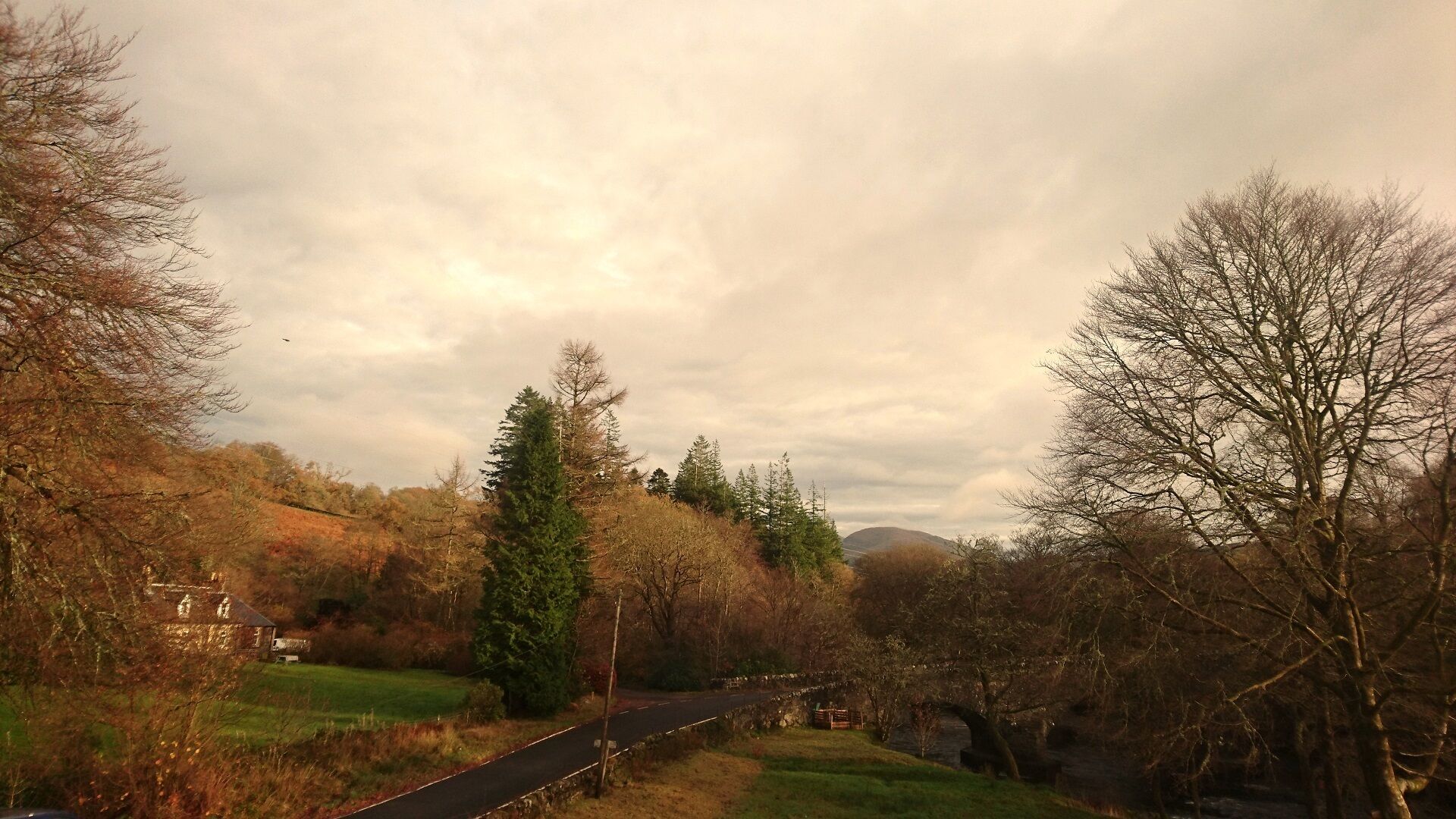 A rural road flanked by trees and a stone wall.