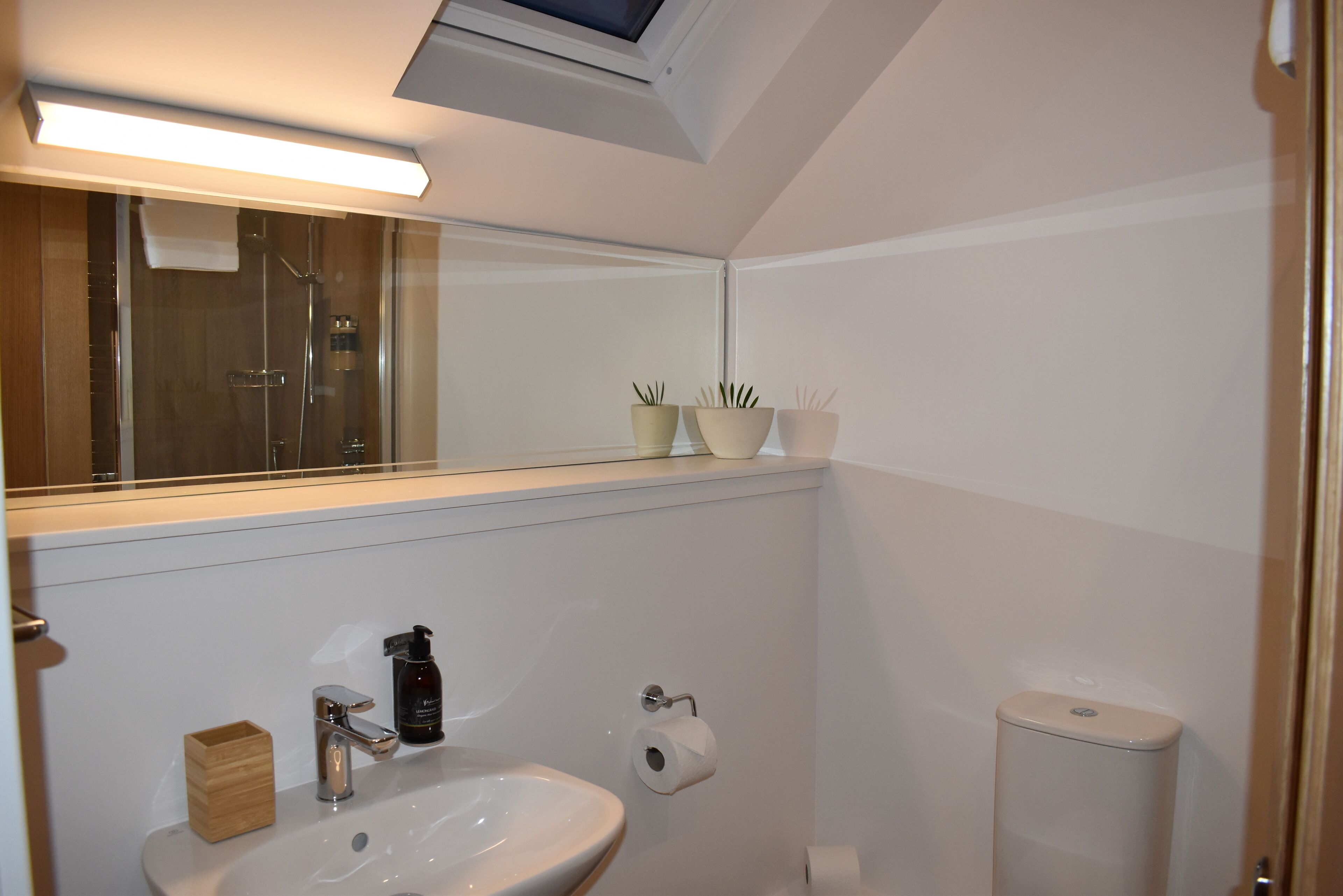 A bathroom with a sink, mirror, toilet, and potted plants.