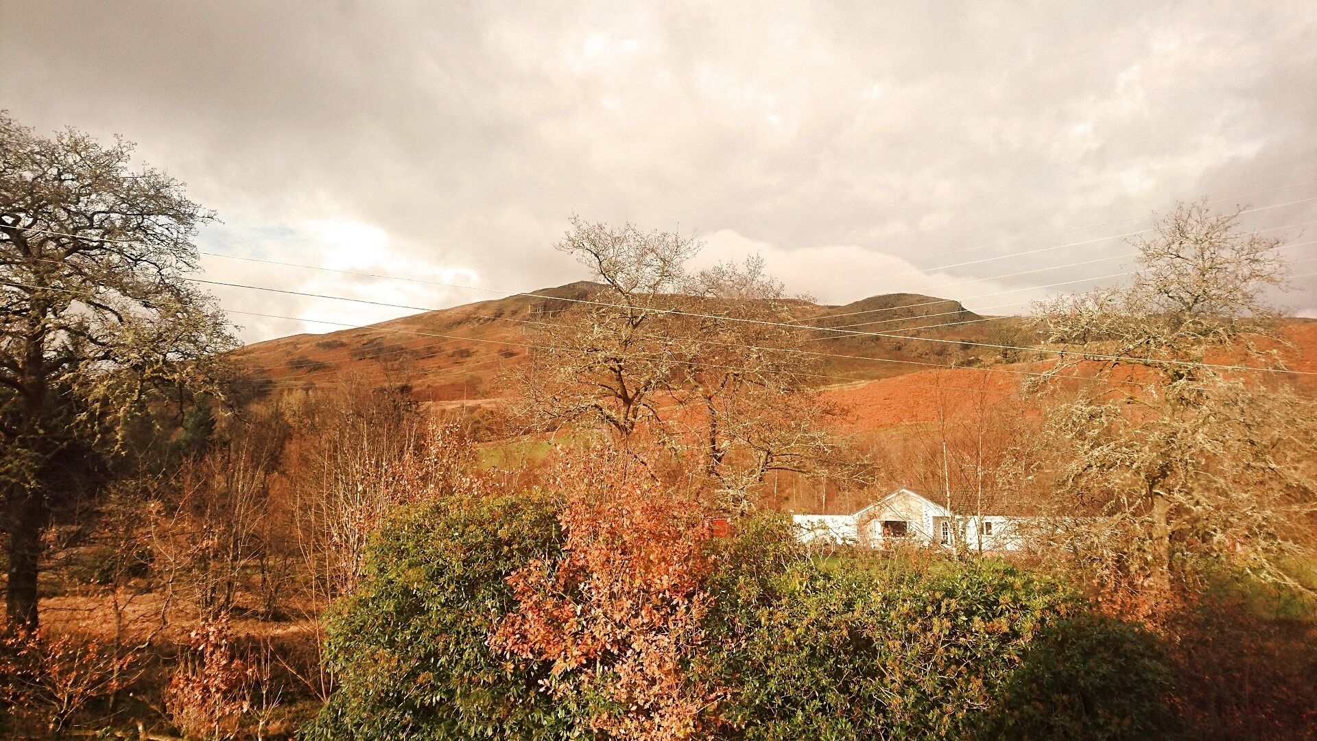 Paisaje rural con un edificio blanco rodeado de árboles y colinas.